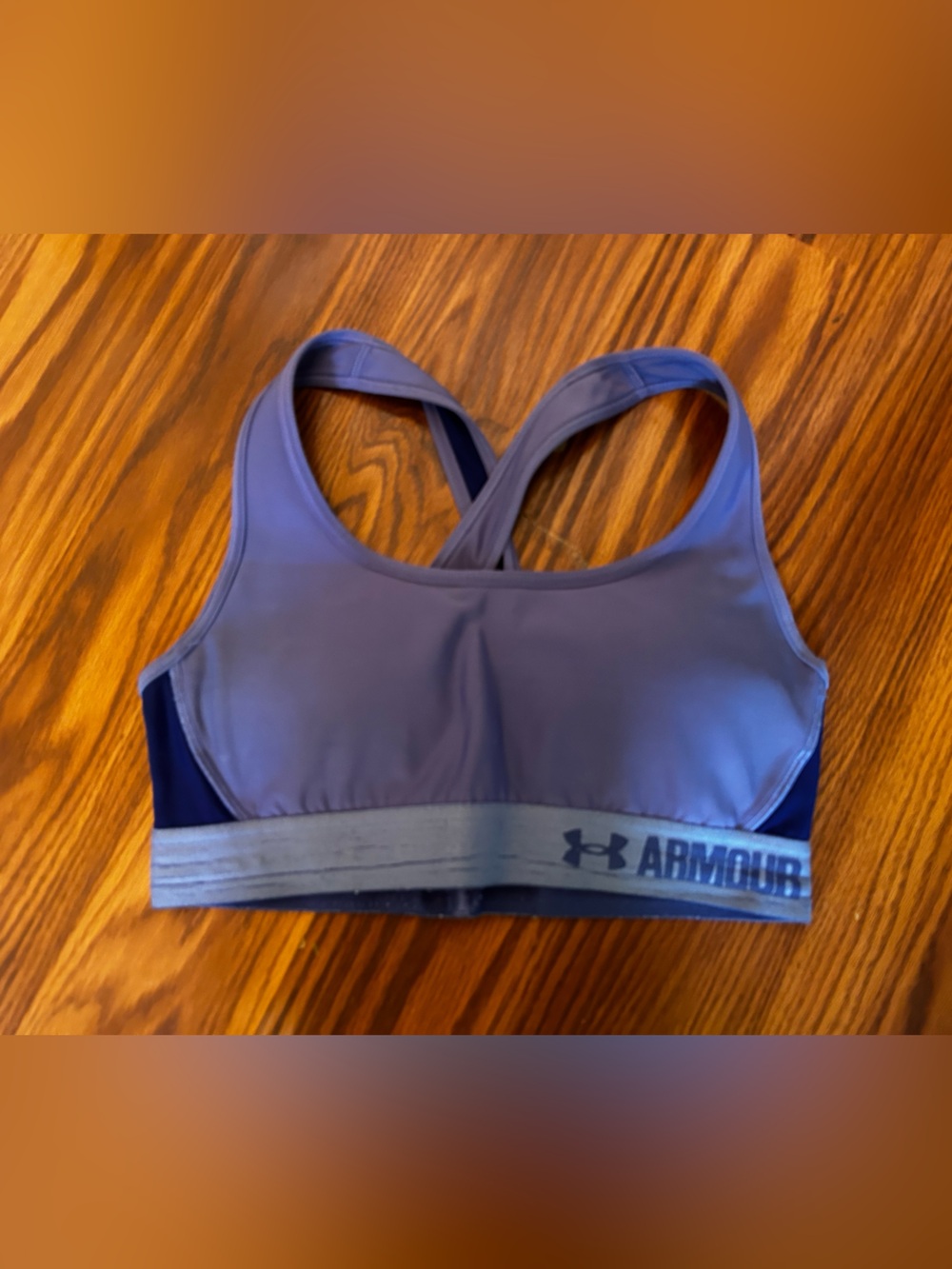 Under Armour Women's Purple Sports Bra